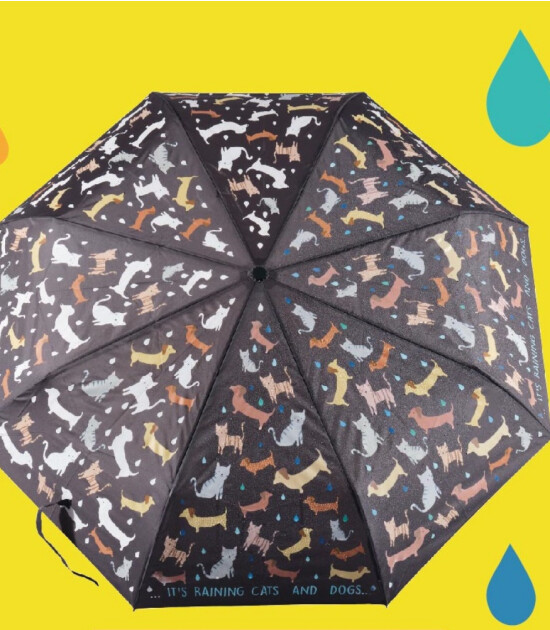 Floss & Rock Renk Değiştiren Şemsiye - Büyük // Raining Cats & Dogs