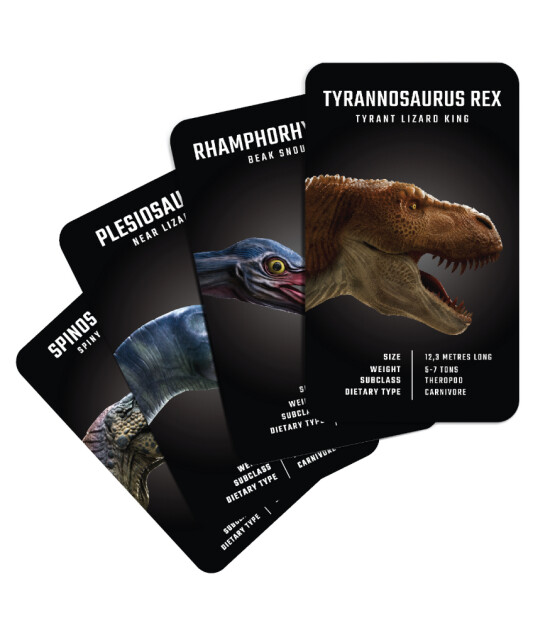 Fun4Edu Arttırılmış Sanal Gerçeklik Kartları // Dinosaurs