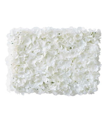 Ginger Ray Çiçek Duvar Arka Fon