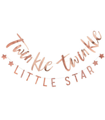 Ginger Ray Parlak Asılan Süs