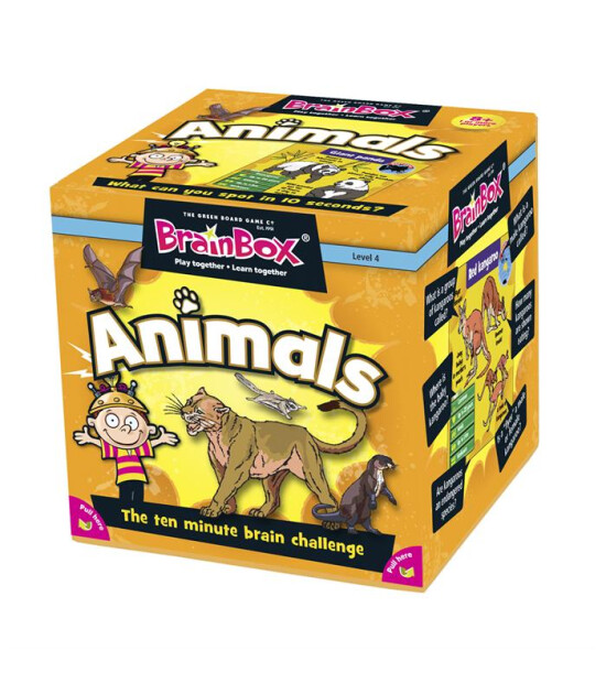 Green Board Games BrainBox  Hayvanlar (Animals)