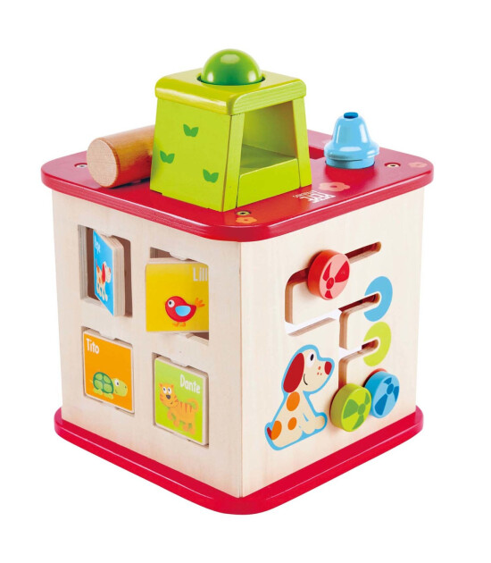 Hape Friendship Activity Cube