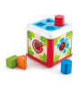 Hape Şekil Eşleştirme Kutusu