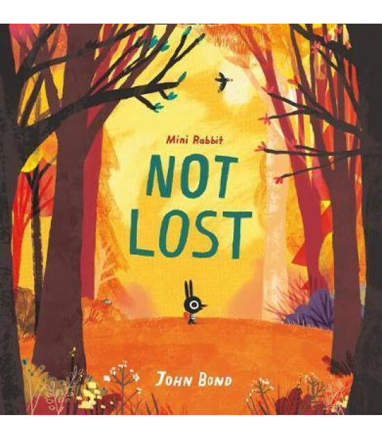 Harper Collins Mini Rabbit Not Lost