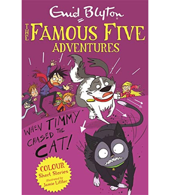 Hodder Children's Books Famous Five Colour Short Stories: When Timmy Chased the Cat