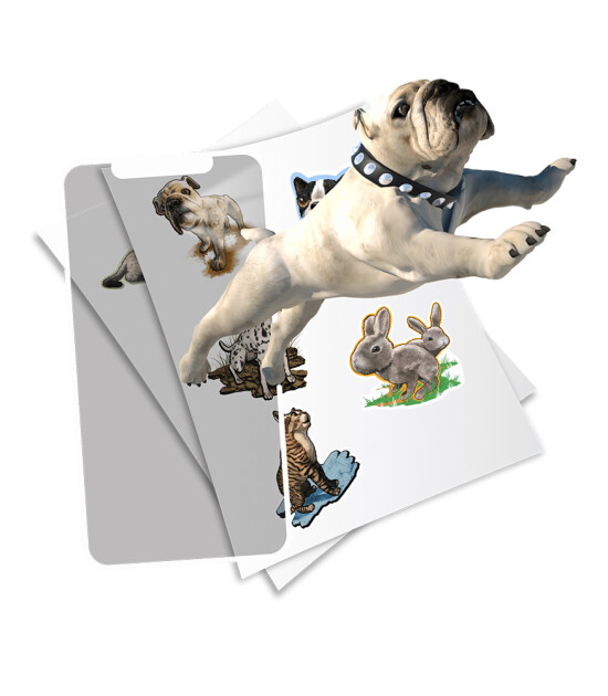 HoloToyz Sticker - AR Uyumlu Etiket // Pet Party