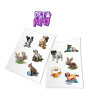 HoloToyz Sticker - AR Uyumlu Etiket // Pet Party