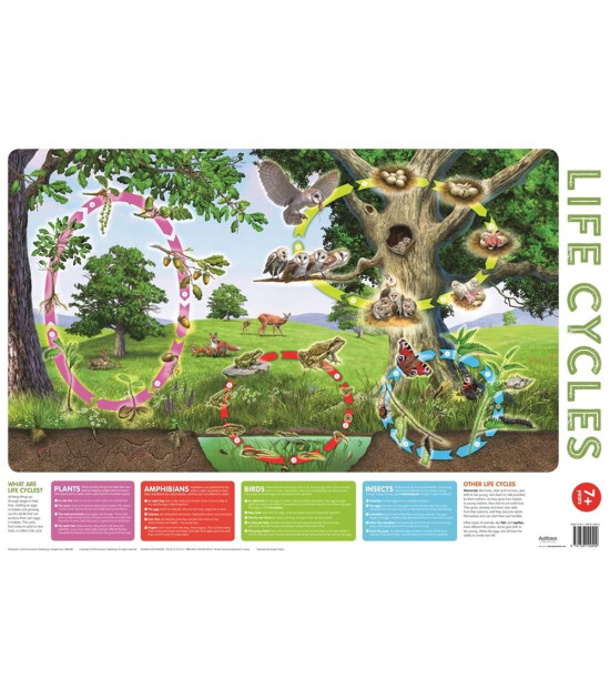 Autumn Publishing Wallchart Pack of 2 9+