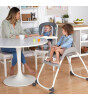 Ingenuity Trio 3-in-1 Mama Sandalyesi Nash