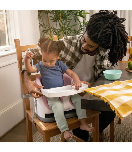 Ingenuity Baby Base Portatif Mama Sandalyesi // Peony