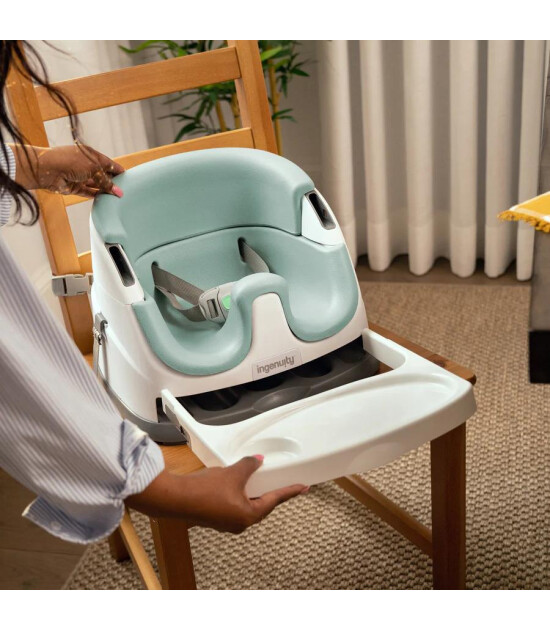 Ingenuity Baby Base Portatif Mama Sandalyesi // Mist