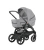 Inglesina Aptica XT Portbebe // Horizon Grey