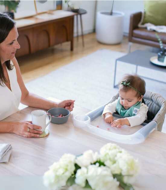 Inglesina Fast Masaya Takılan Taşınabilir Mama Sandalyesi // Charcoal Gray