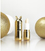 Inuwet Metal Lip Balm Dudak Nemlendirici // Gold