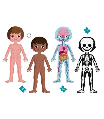 Janod Puzzle Set // İnsan Vücudu (50-75-100 Parça)