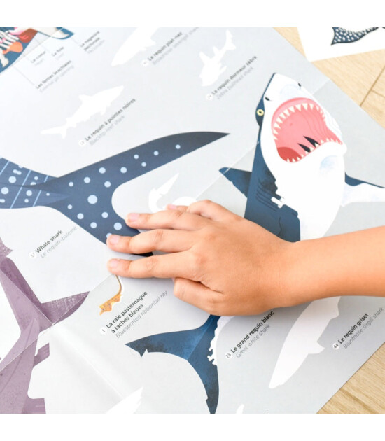 Poppik Discovery Sticker Poster // Sharks