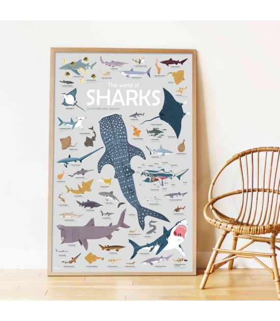 Poppik Discovery Sticker Poster // Sharks