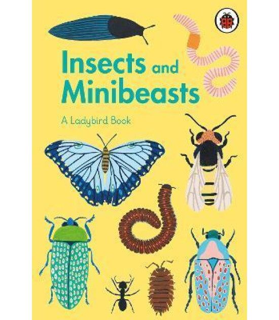 Ladybird A Book: Insects and Minibeasts