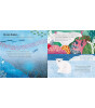 Ladybird Seas: A lift-the-flap eco book