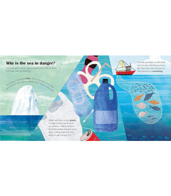 Ladybird Seas: A lift-the-flap eco book