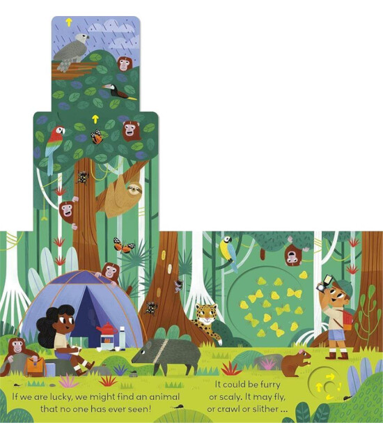 Penguin Random House Children's Uk Little World: Jungle Journey : A push-and-pull adventure