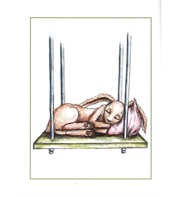 Ladybird The Rabbit Who Wants to Fall Asleep