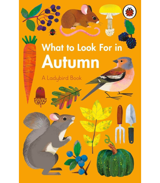 Ladybird What to Look For in Autumn