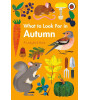 Ladybird What to Look For in Autumn
