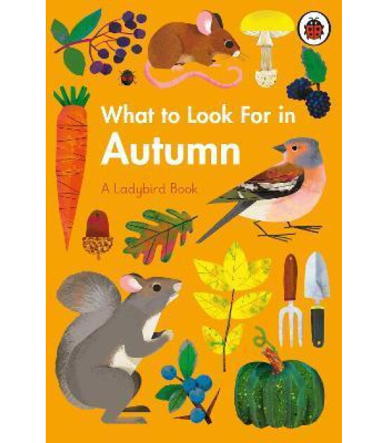 Ladybird What to Look For in Autumn