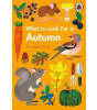 Ladybird What to Look For in Autumn