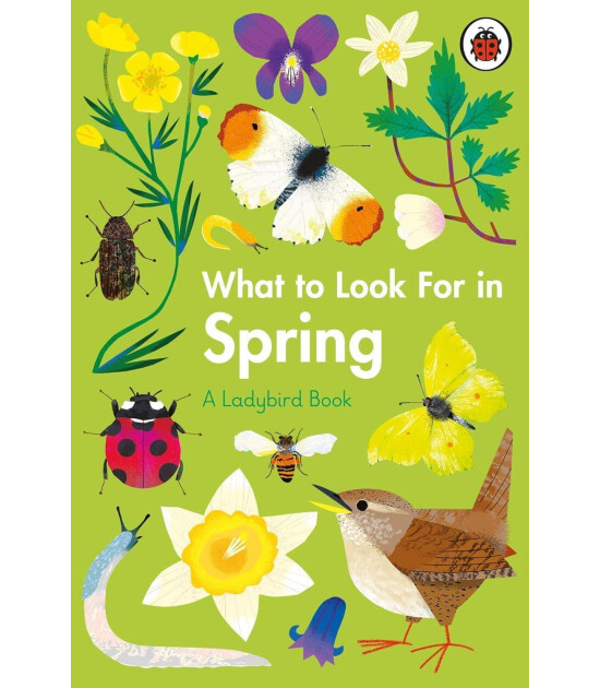 Ladybird What to Look For in Spring