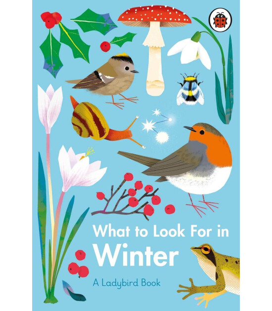 Ladybird What to Look For in Winter