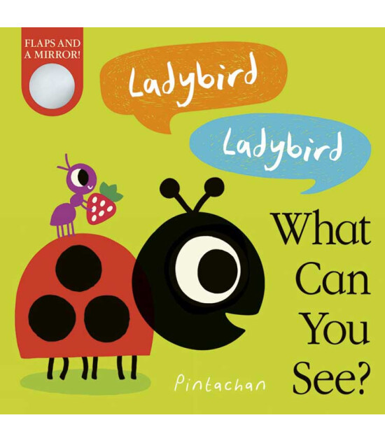 Little Tiger Press What Can You See?: Ladybird! Ladybird!