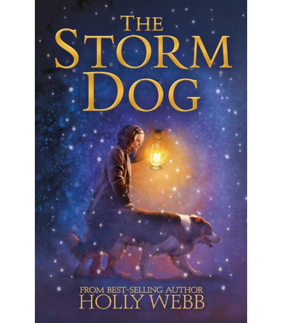Little Tiger Press Holly Webb Animal Stories: Winter Animal Stories: The Storm Dog