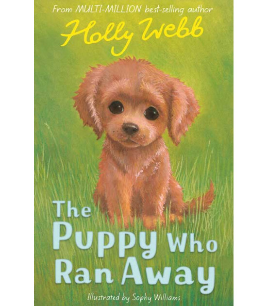 Little Tiger Press Holly Webb Animal Stories: The Puppy Who Ran Away