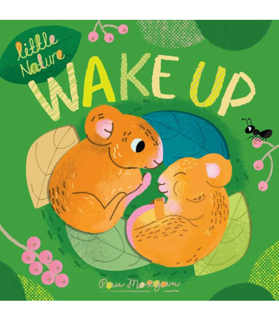 Little Tiger Press Wake Up