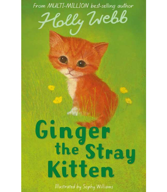 Little Tiger Press Holly Webb Animal Stories: Ginger the Stray Kitten