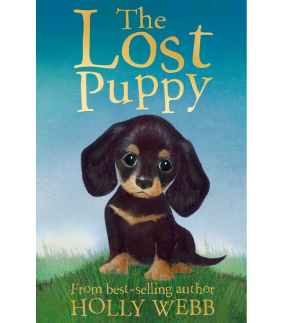 Little Tiger Press Holly Webb Animal Stories: The Lost Puppy