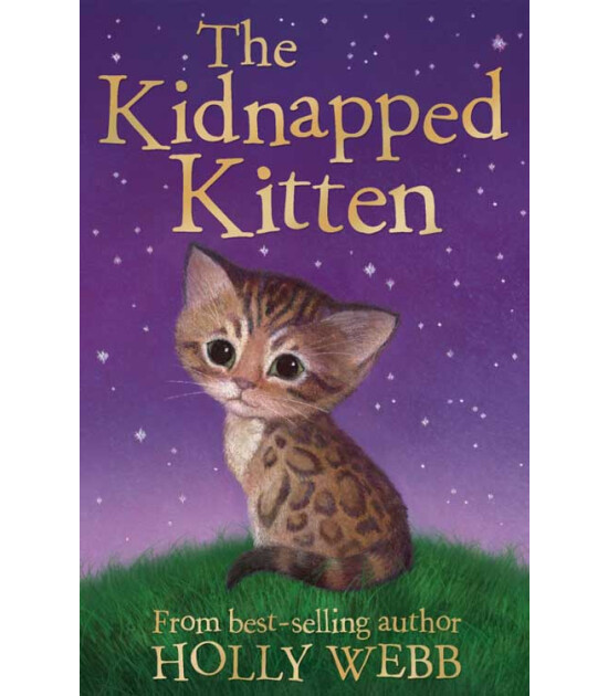 Little Tiger Press Holly Webb Animal Stories: The Kidnapped Kitten