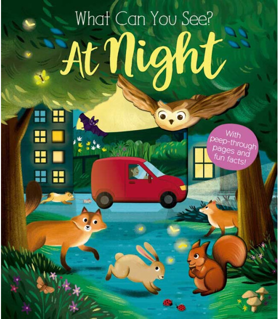 Little Tiger Press What Can You See At Night? (New Edition)
