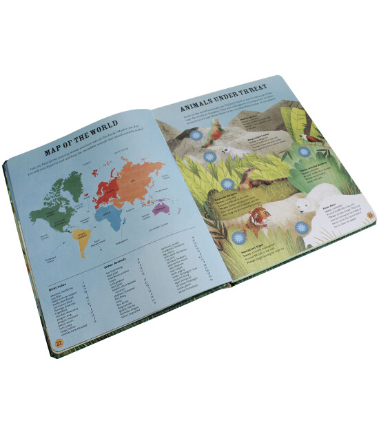 Little Tiger Press Sounds of the Wild