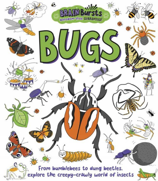 Little Tiger Press Brain Bursts: Bugs