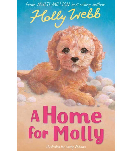 Little Tiger Press Holly Webb Animal Stories: A Home for Molly