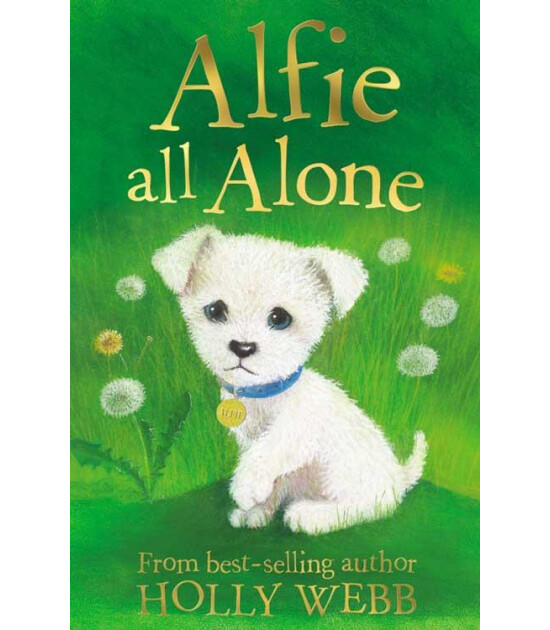 Little Tiger Press Holly Webb Animal Stories: Alfie All Alone
