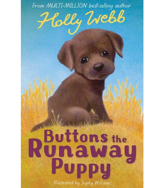 Little Tiger Press Holly Webb Animal Stories: Buttons the Runaway Puppy