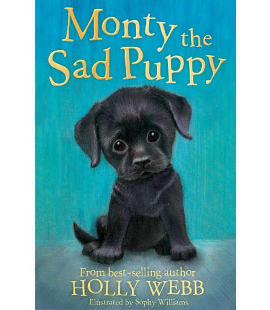 Little Tiger Press Holly Webb Animal Stories: Monty the Sad Puppy