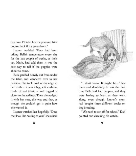 Little Tiger Press Holly Webb Animal Stories: Puppy Love : Lucy the Poorly Puppy, Jess the Lonely Puppy, Ellie the Homesick Puppy