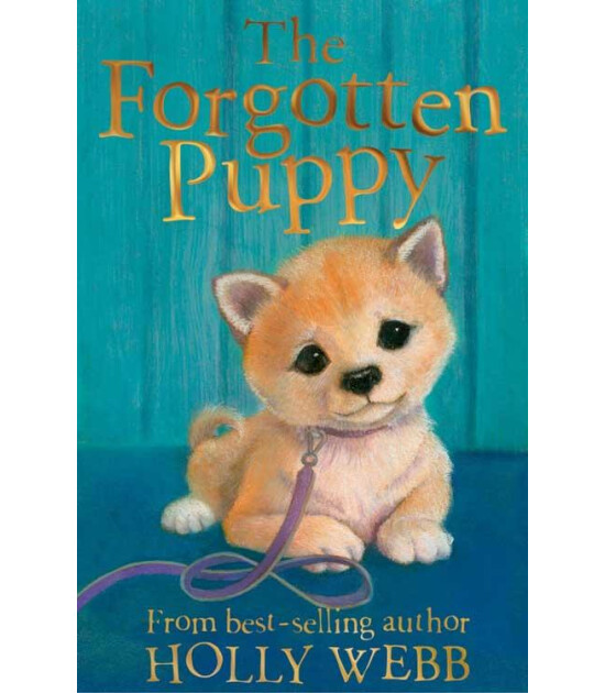 Little Tiger Press Holly Webb Animal Stories: The Forgotten Puppy