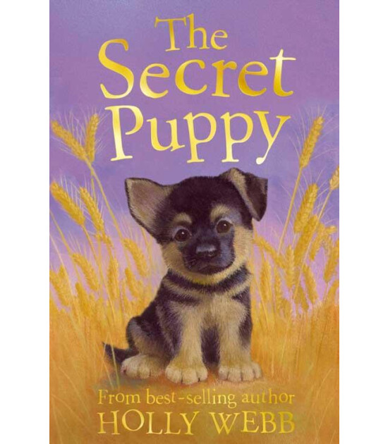 Little Tiger Press Holly Webb Animal Stories: The Secret Puppy