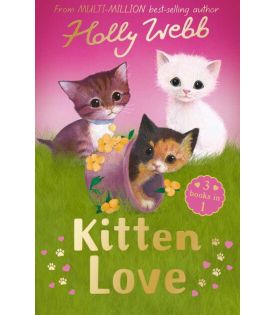 Little Tiger Press Holly Webb Animal Stories:Kitten Love A Collection of Stories  (Lost in the Storm, The Curious Kitten,The Homeless Kitten)